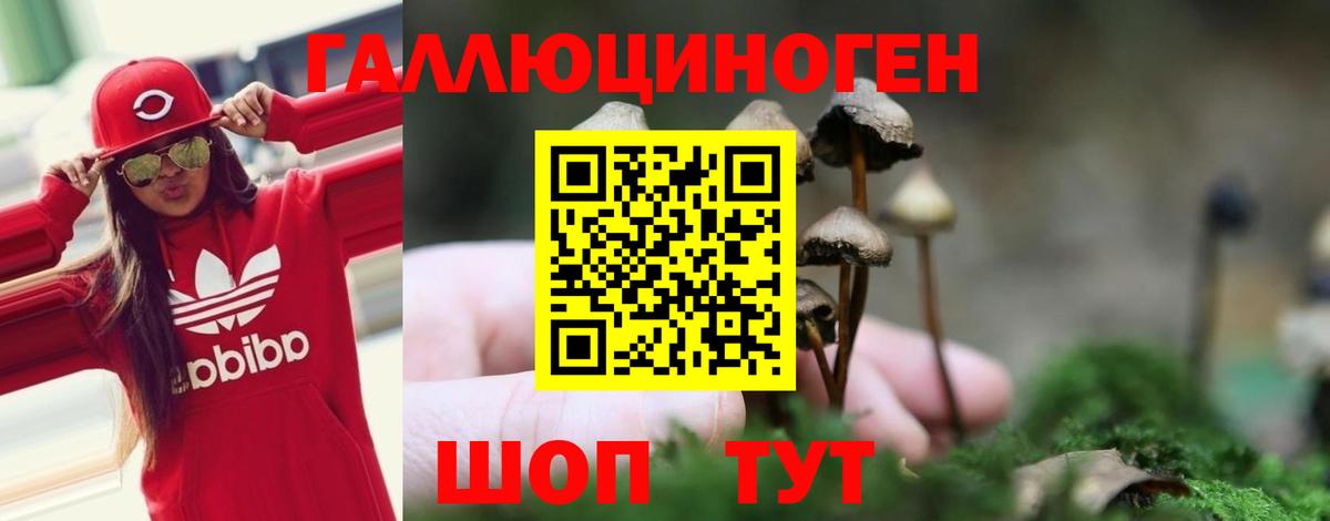 купить   Вход с VPN  Коммунар  Галлюциногенные грибы Magic Shrooms 